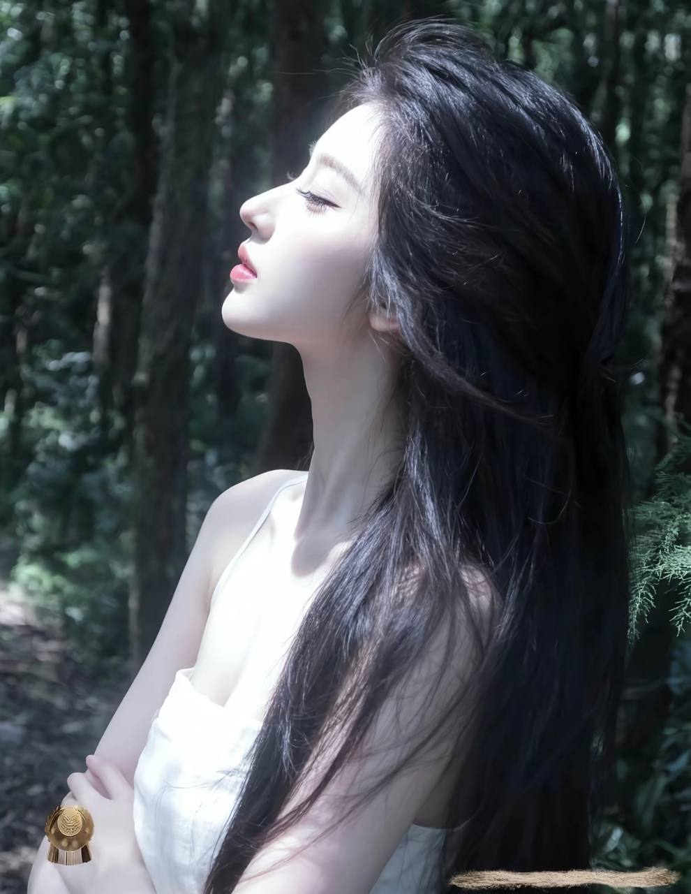灯火灯火